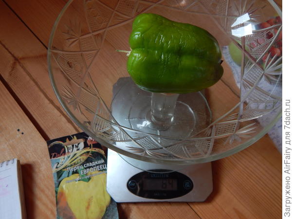 &#39;Европеец&#39;: богатырь