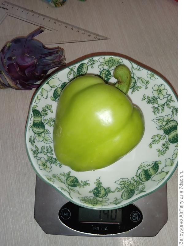 Рекордсмен по весу