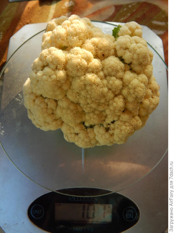 Форма частично эллипосвидная