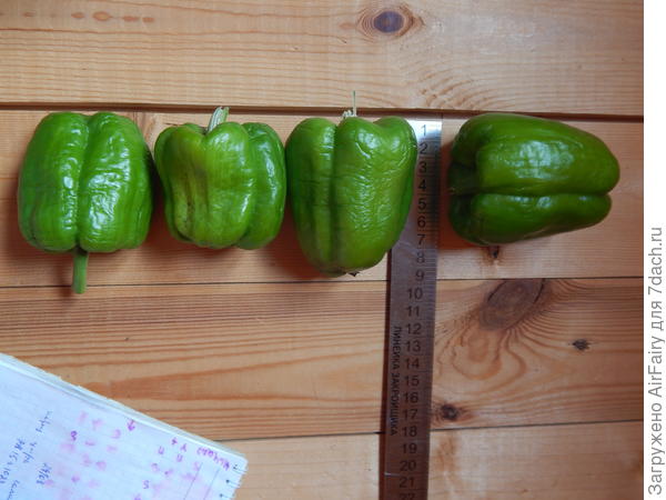 &#39;Европеец&#39;: замеряемся