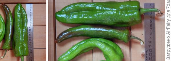 Замеряемся