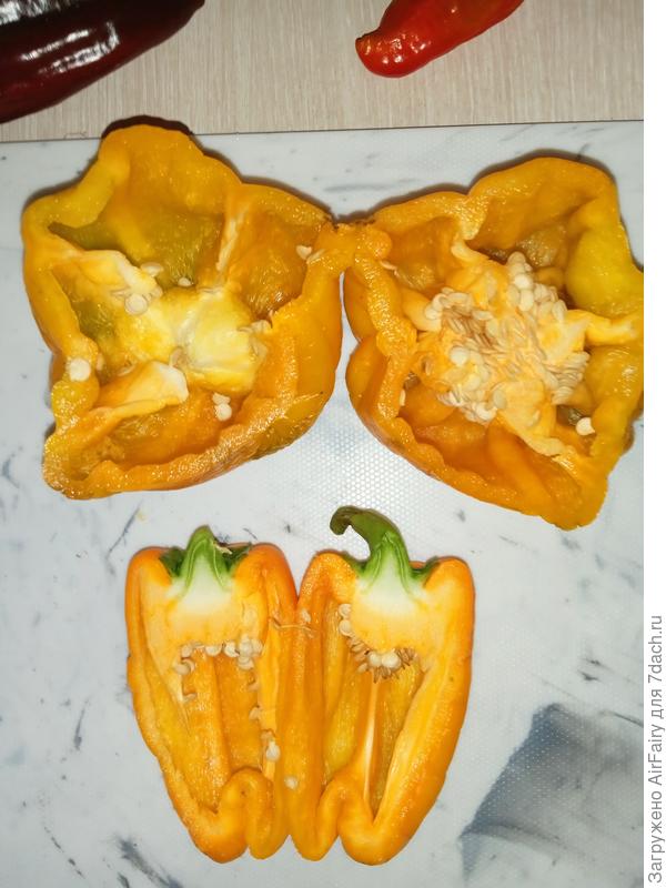 &#39;Рыжик&#39;: разрез