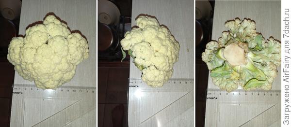 : замеряемся