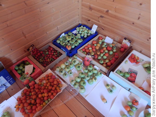 Томатная радость