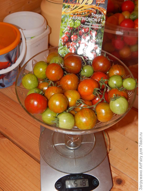 Первый урожай