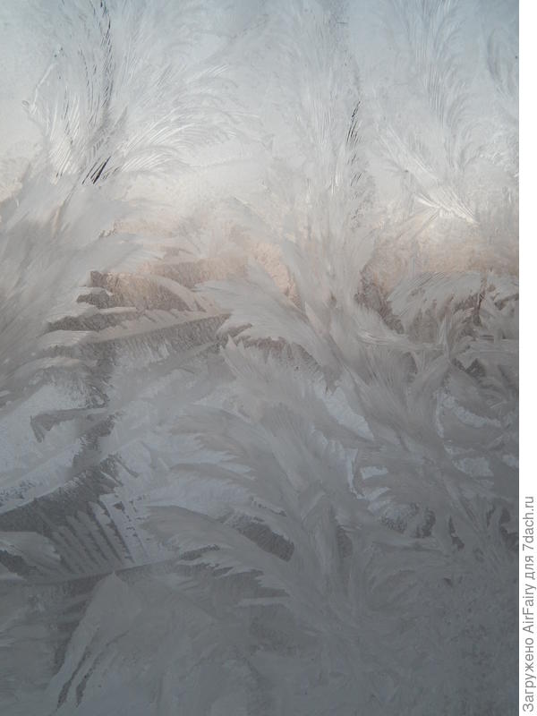 Радость деревянных окон