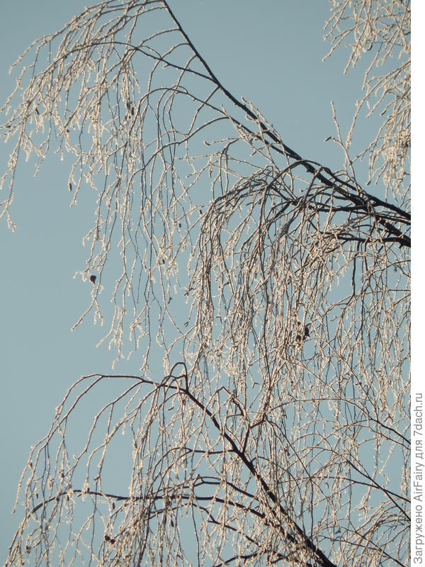 В лучах солнца