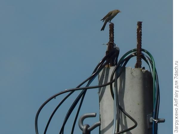 К сожалению, не опознан(