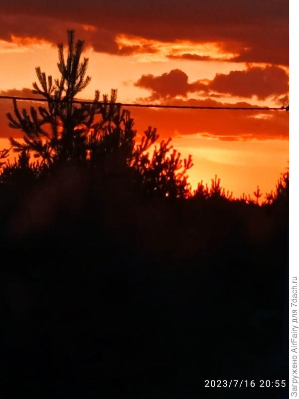 &quot;Малая медведица&quot; решила погулять по небосводу (снимал сын).