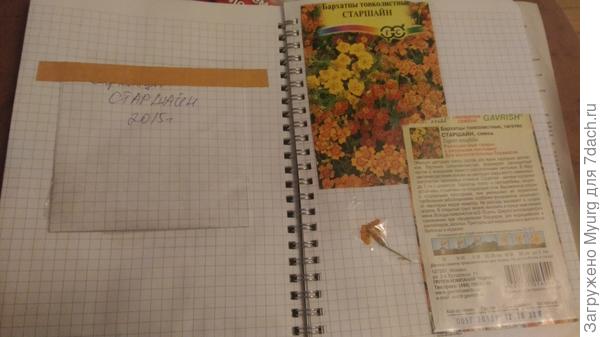 Вот пакетик от Старшайн. Семена я от них набрала на много лет вперед :)