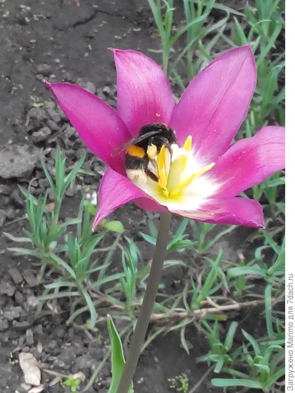 Где вкуснее? Здесь