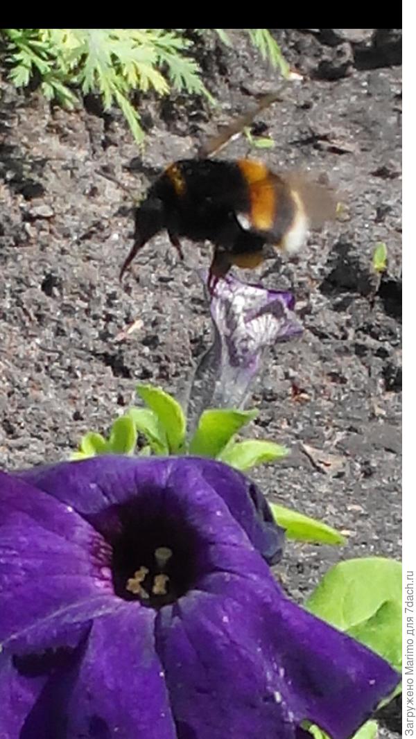 а может быть здесь?