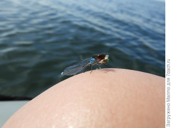 Обеденный перерыв