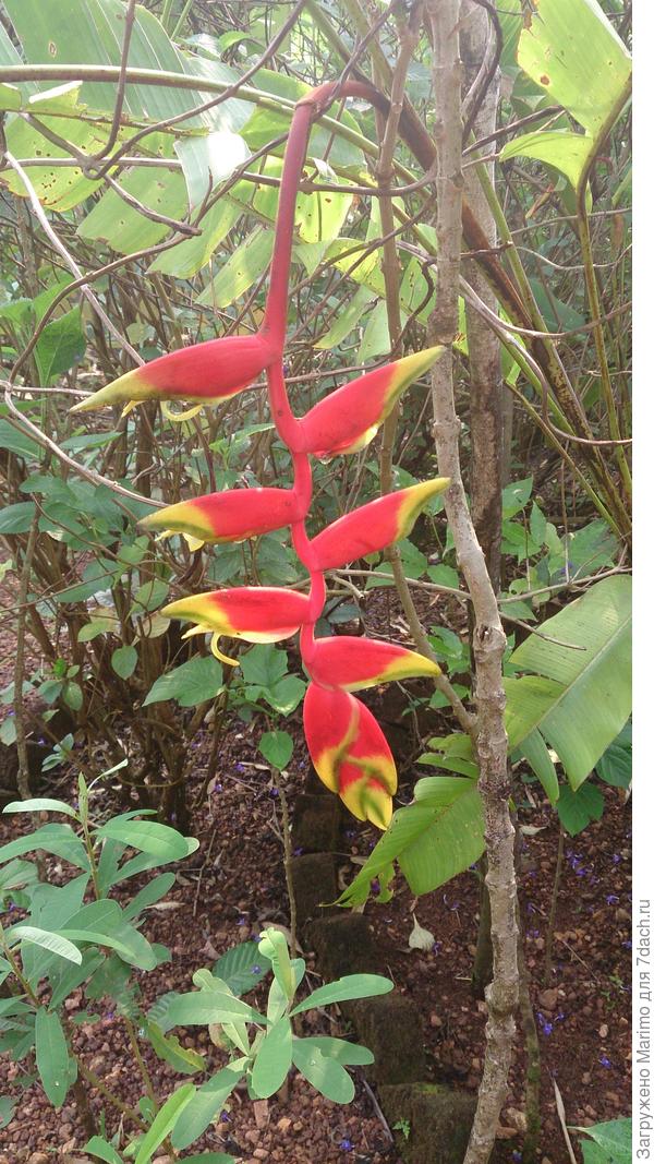 И такое тоже есть!