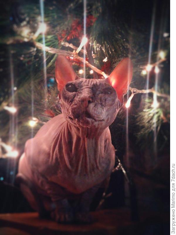 С Новым годом!