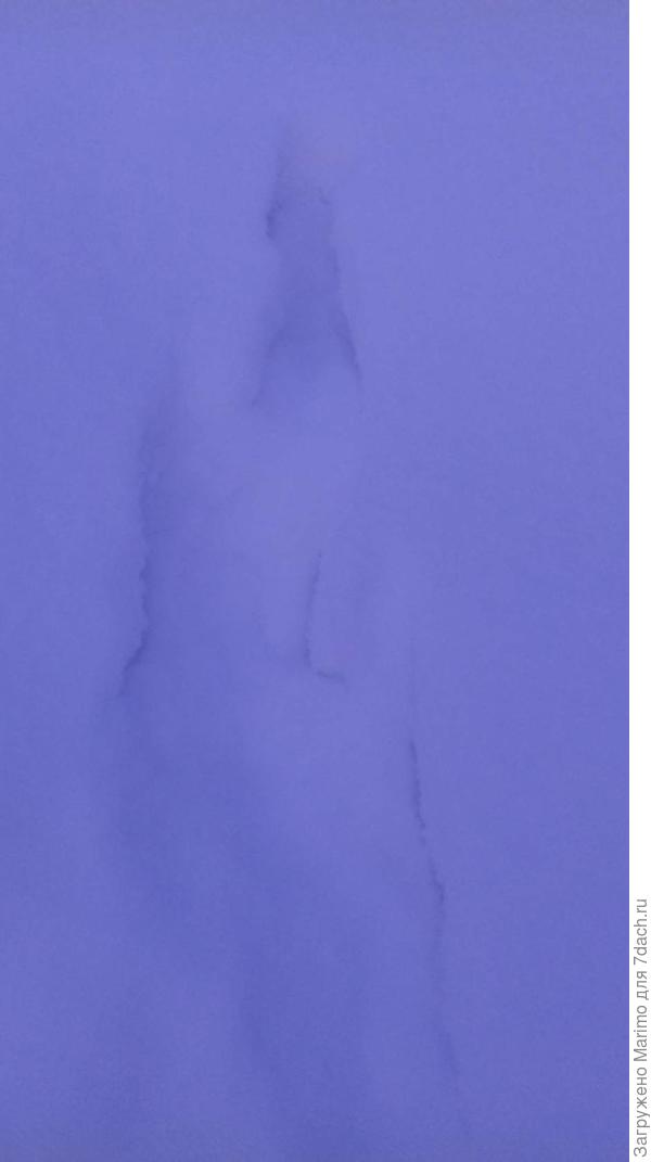 Следы невиданных зверей