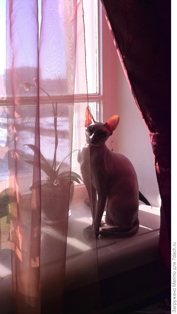 А на улице опять снег...