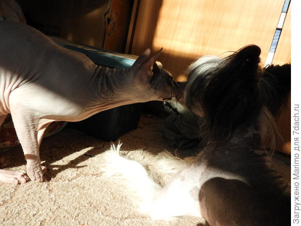 Доброе утро!