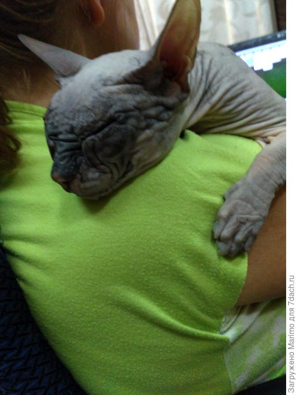 А сейчас пора спать!