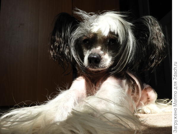 очень мы любим на солнышке полежать