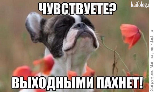 Всем хороших весенних выходных!