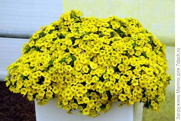 Желаю, чтобы и у Вас!