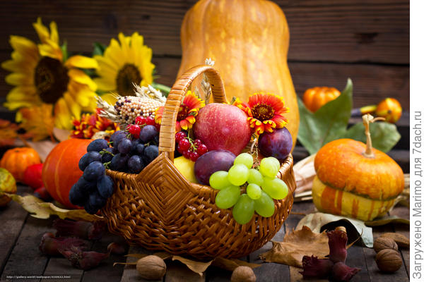 фото с ин-нета