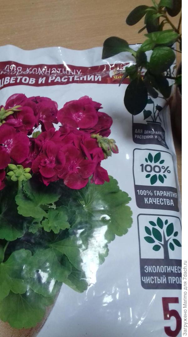 Грунт для комнатных цветов и растений
