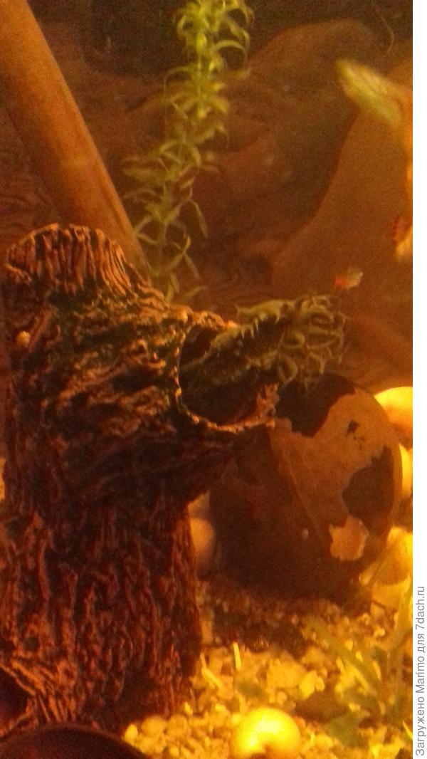 Любимая поза