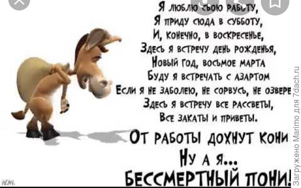 Наташа, здоровья, терпения и оптимизма. Побольше отдыхай. С Наступающим!