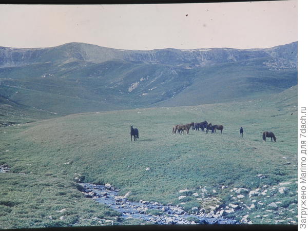Джайляу, или летнее пастбище