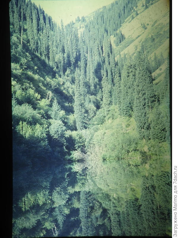 Озеро Кольсай. Какое зеркало!!!