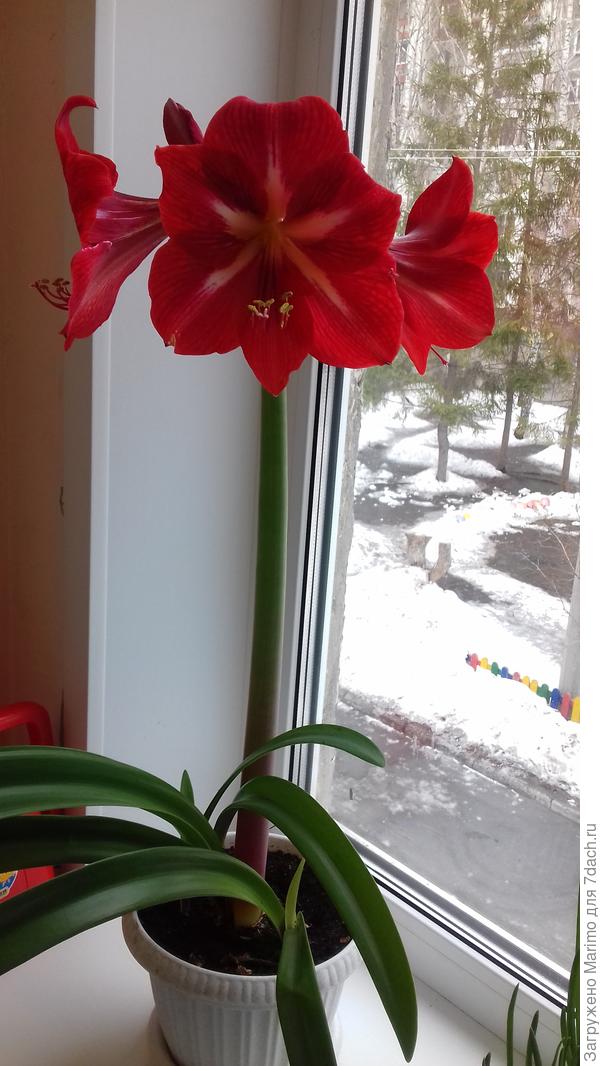 Прошлогодняя фотография