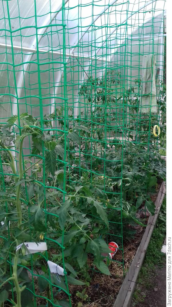 здесь немного лучше видно.