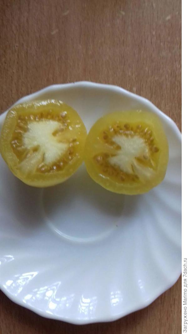 Слева лучше видно. Как привидение с крыльями