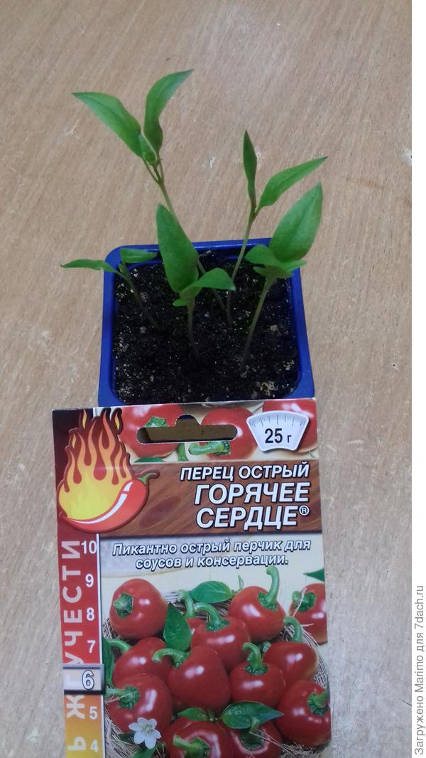 27 марта