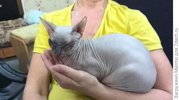 на ручках всегда тепло