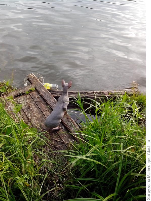 Оооо, сколько воды!