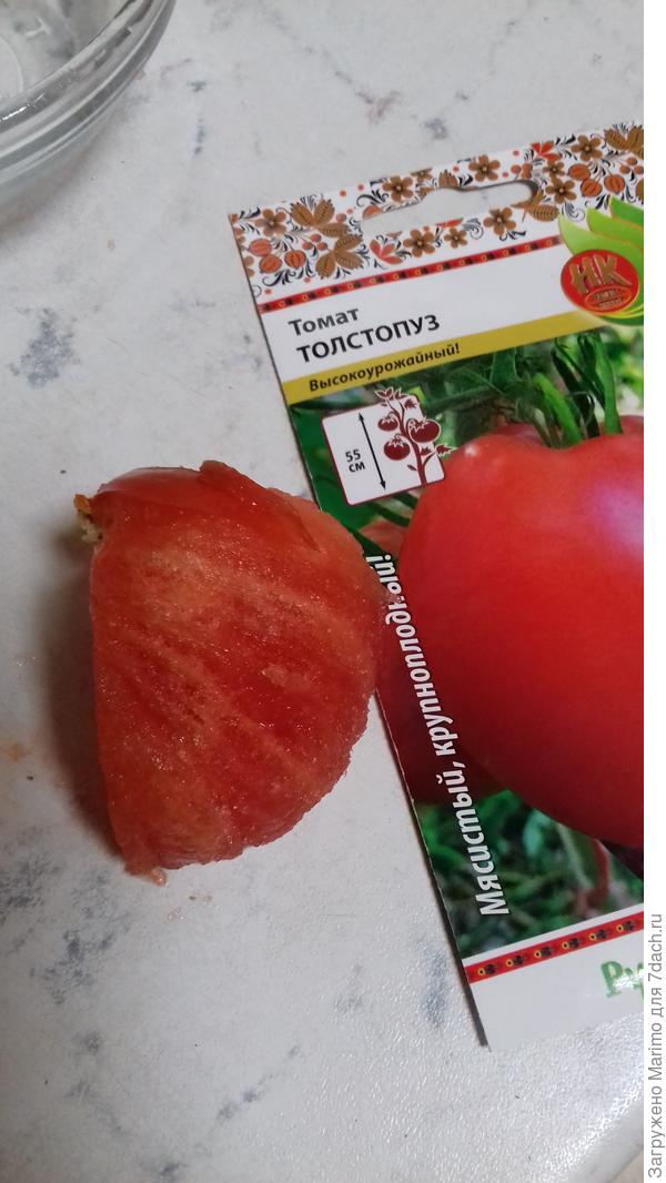 Толстопуз. Невероятно сахарный и мясистый