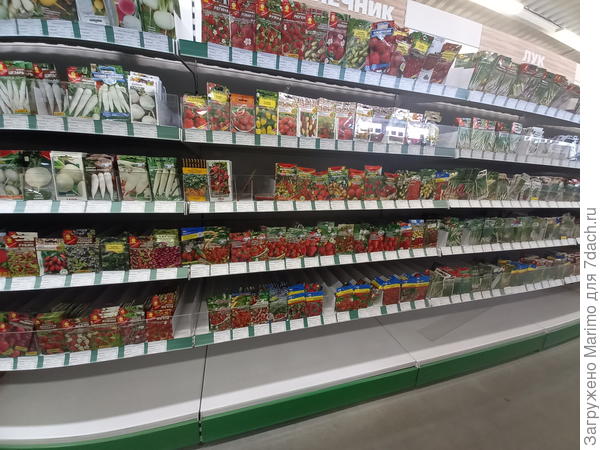 Клубника ( голубика, клюква, черника) и лук