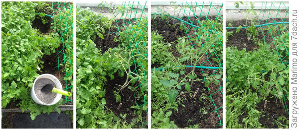 Вот, фото нашла