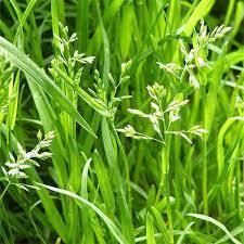 фото из и-нета