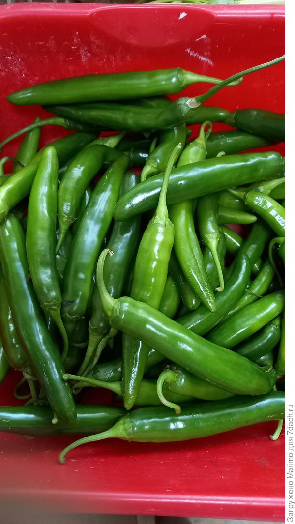 Это с 1 куста Зеленые пальчики, и мы его еще до фото ели .