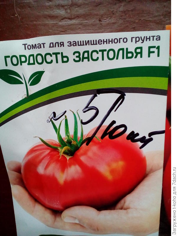 семена