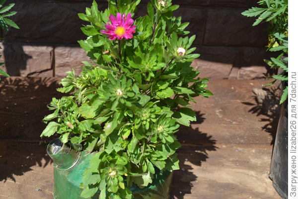 вот что получилось