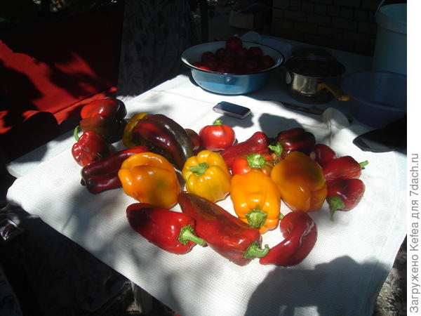 Мои перчики