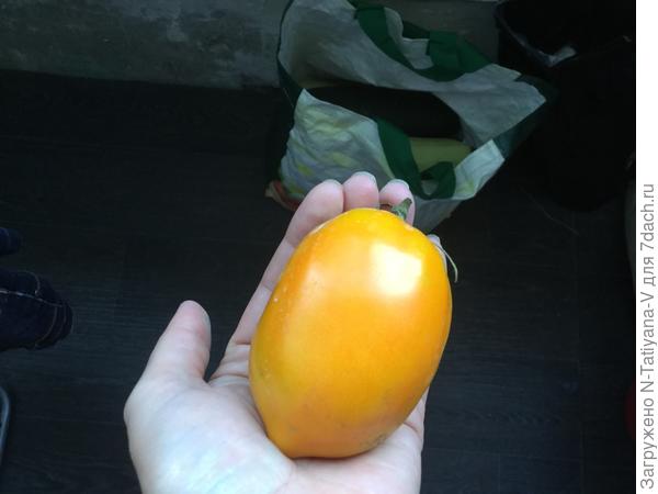 Это выросло вместо Саньки.