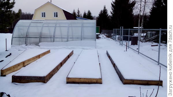 Такие у меня грядки сейчас