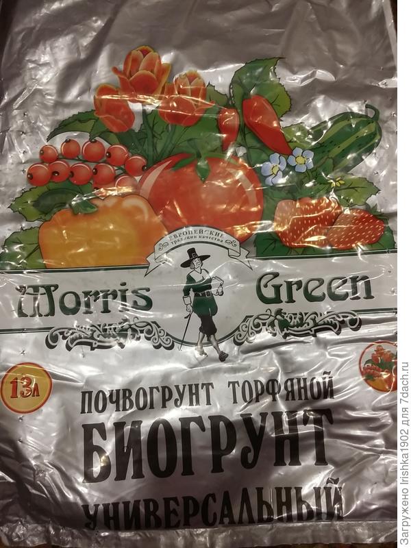 Томат Полосатый Рейс. I этап. Тест на всхожесть