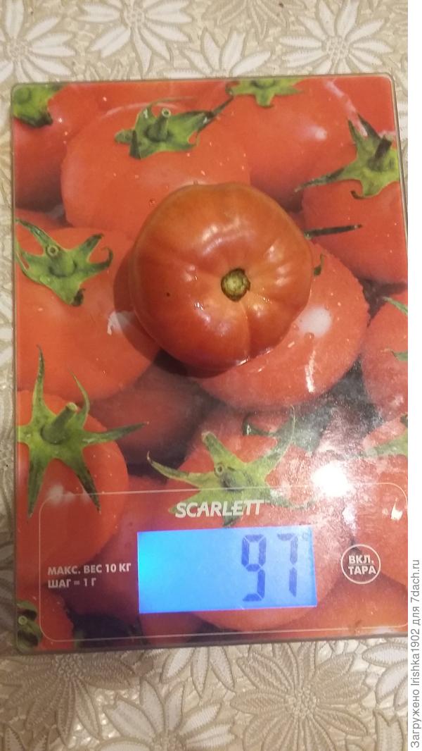вес